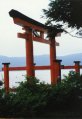 Torii